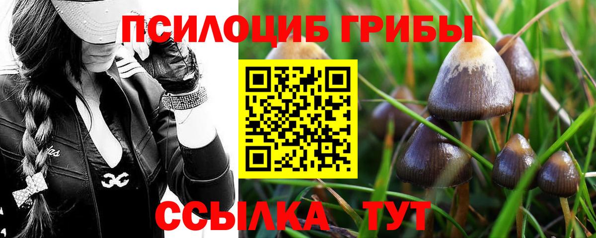 где купить наркотик  Вход с VPN  Мыски  Галлюциногенные грибы мухоморы 